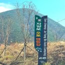 지리산 캠핑장 추천 | 자양보오토캠핑장 (투명돔텐트, 오토캠핑장 ) | 경남 산청 캠핑
