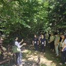 대구화원초등학교 이미지