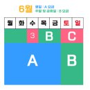 안성카서비스 | 안성팜랜드 해바라기 코스모스 동물체험 후기_주말 가족나들이 추천