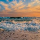 송정솔바람해변1 이미지