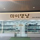 강아지분양 마이댕냥 일산점 네이버블로그