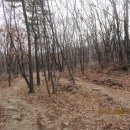 임학공원(임학정) 이미지