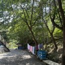 꽃피는산골민박 | 충주펜션 자연 속에서 힐링하는 꽃피는산골 민박펜션 체험기