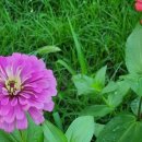 용비쉼터 이미지