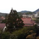 신유렌트카 이미지