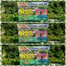성주 산그늘펜션 네이버블로그