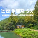 미내다리 | 논산여행지 추천｜미내다리·반야사·선샤인랜드·탑정호 출렁다리·온빛자연휴양림 5곳 총정리