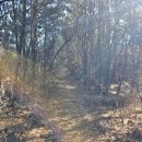 공설운동장 삼거리-좌 | 창원북면 백월산 산행기