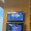 우리수지산업 | <임신준비_1> 수지마리아 방문 / 나팔관 조영술 통증 가격 후기