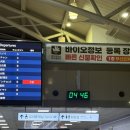 파리푸드양꼬지포차 | 쉬자 쉬자 푹 쉬자!