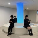 프로젝트콜렉티브 이미지