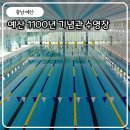 예산-14 | 예산 1100년 기념관 수영장 50m 자유수영 시간 요금 시설 후기
