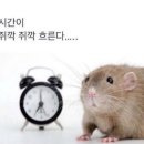 광동1길 | 사랑과 재채기는 숨길 수가 없다