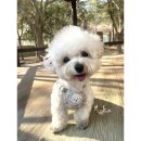 글로벌 리더를 통해 배우는 성공의 리더십 | 7년 유치원교사에서 리더로 성장한 과정 &amp; 홍콩트립 (1편 최정우 리더)