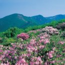 소백산 이미지