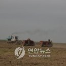 박창수농장 이미지