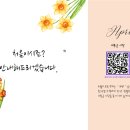 원키우미