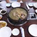 예일오리숲