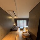 파크중기 | [소노펫 비발디파크] 임신 22주차 강아지와 태교여행 후기｜패밀리 스탠다드룸 (객실타입, 부대시설...