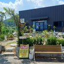 백소백반 이미지