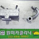 원미카클리닉