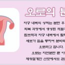 (강동송파)해피케어 이미지