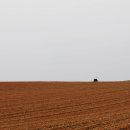 황화농장 이미지