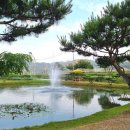 양평막국수 이미지