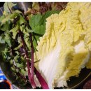 거성식당 이미지