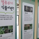 울산들꽃학습원 | 울산 들꽃학습원 방문 후기 (울주군 범서읍 서사리)