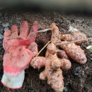 석원농장 이미지