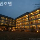 일레인호텔 | 제주 서귀포 호텔 일레인호텔 럭셔리에서즐긴호캉스여행기