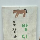 초원애견샵 | 제주 목장 카페 &#39;밭디&#39; 승마, 먹이주기 체험이 가능한 포토스팟 카페 추천 (동쪽 가볼만한 곳)