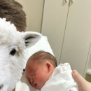 미사린소아청소년과의원 이미지