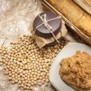 예나지나 이미지