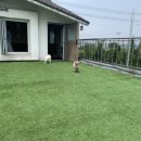 몽썸