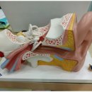 금강보청기 거여센터 이미지