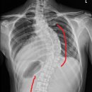 척척명의원 이미지