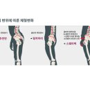 다산애한의원 이미지