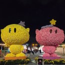 세계음식축제 (미정) | 대전 축제 동구동락 축제 2025후기(세계 음식이 가득한 축제)