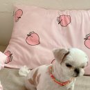 단풍이네 그루밍샵 이미지