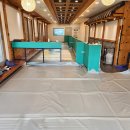 486독캠프 이미지