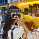 준패션 이미지