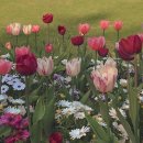 엄마사랑 이미지