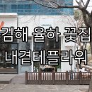 네오프라자(율하동) | 장유율하꽃집 내곁테플라워에서 어머니 사물놀이 발표회 꽃다발 내돈내고 구입한 후기 with x100f, d750