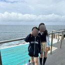 친절한 초봄씨 | 호주 시드니-멜버른 여행 기록