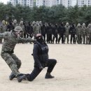 대성 합기도 이미지