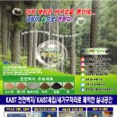 덕송초교 | 대전 친환경 카이스트 천연벽지 새집증후군 제거 처리 및 새가구증후군 제거 처리 시공 담당지점