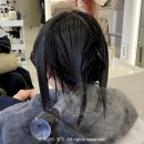 이지 헤어룸 | 수원미용실 정자동 이지다헤어 만석공원점 모도스 클리닉 태슬컷까지?