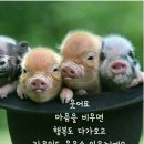 간월도노을펜션 이미지